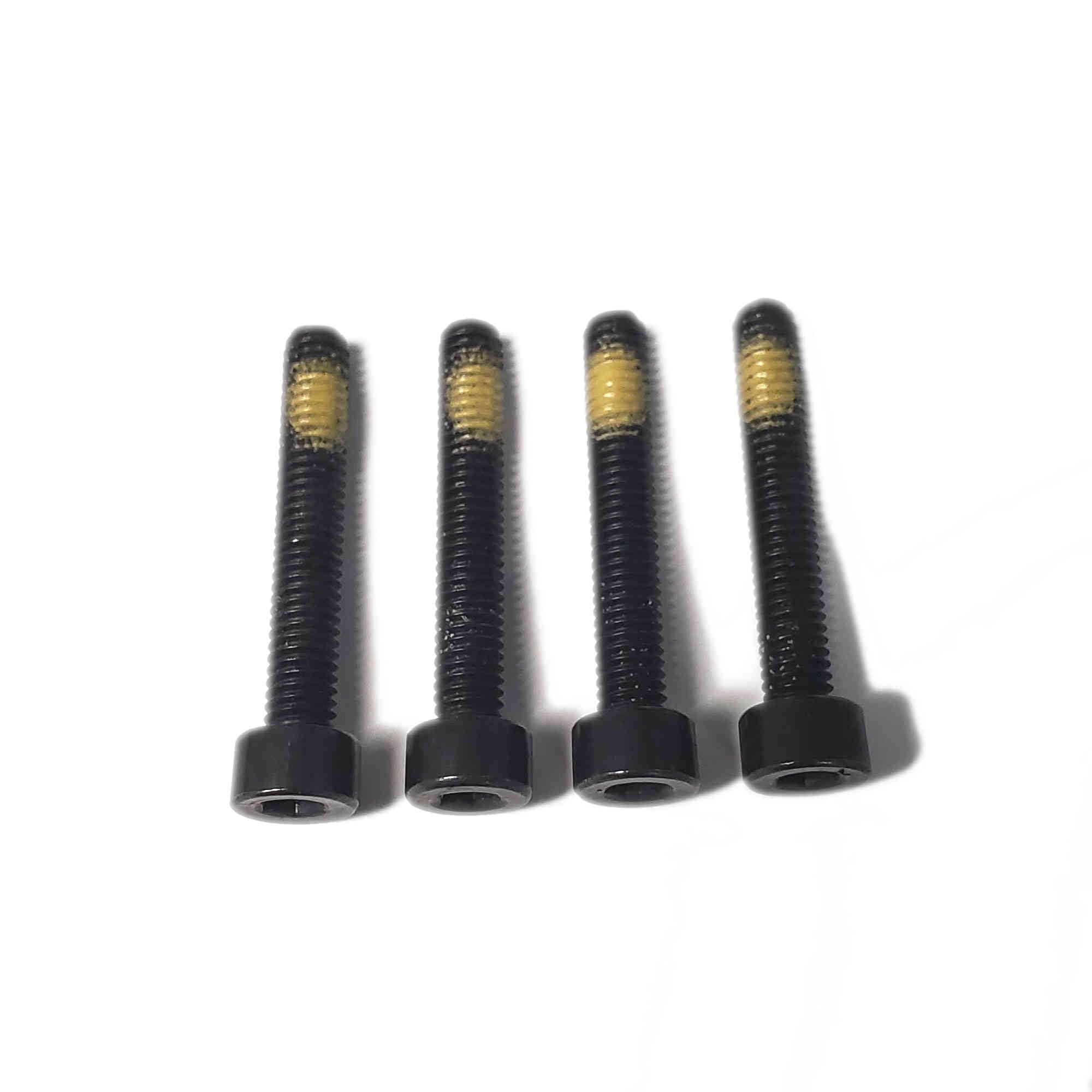 Seatpost Side Link Bolts